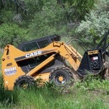 Forestry services